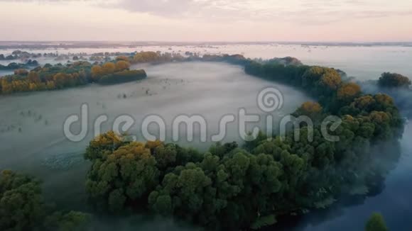 浓雾笼罩着河流和草地从薄雾中飞过视频的预览图
