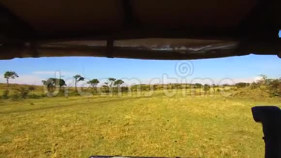 越野车穿越非洲热带草原视频的预览图