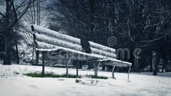 在降雪中移动过去的公园长椅视频的预览图