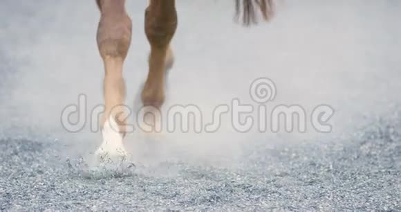 在沙地上行走的马蹄的特写镜头视频的预览图