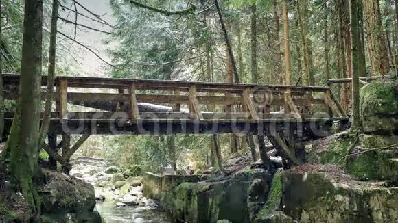在降雪时越过森林河的桥视频的预览图