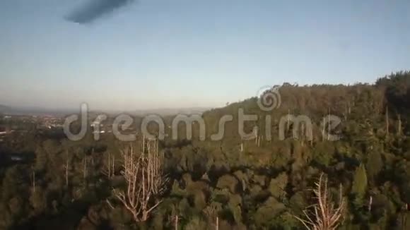 森林绿浓和湖顶从直升机窗口在新西兰视频的预览图