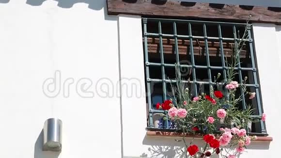 格拉纳达白墙上的花盆和五颜六色的花视频的预览图