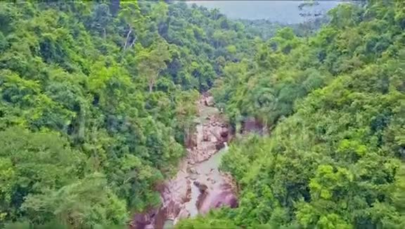 热带森林和弯曲狭窄河流的鸟瞰图视频的预览图