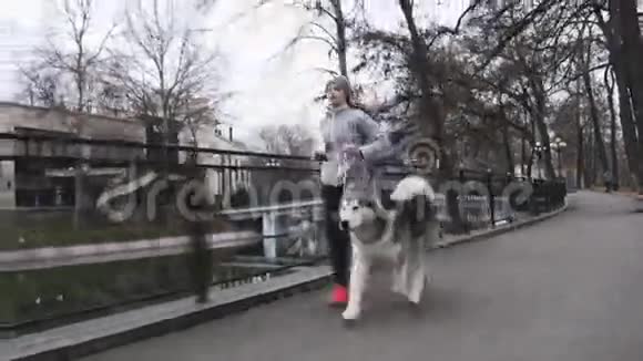 年轻女孩与她的狗一起奔跑的录像阿拉斯加马拉穆特视频的预览图