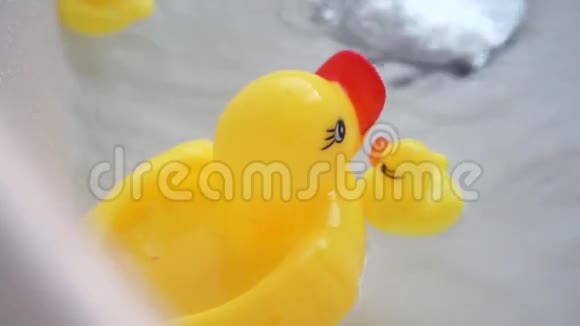把浴室里的橡胶鸭子视频的预览图