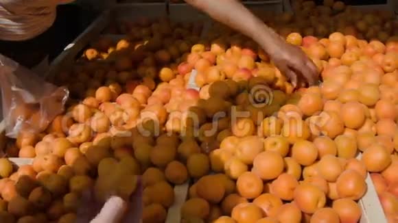 农贸市场上成熟的杏子视频的预览图