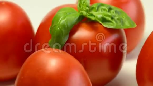 成熟的西红柿和罗勒视频的预览图
