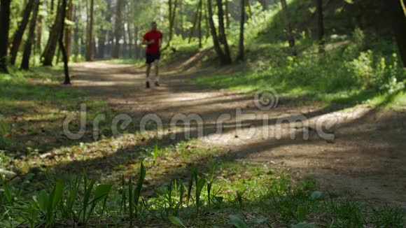 失焦的成熟慢跑者在林中奔跑视频的预览图