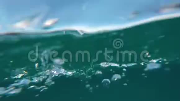 与海豚在深海游泳带声音的视频视频的预览图