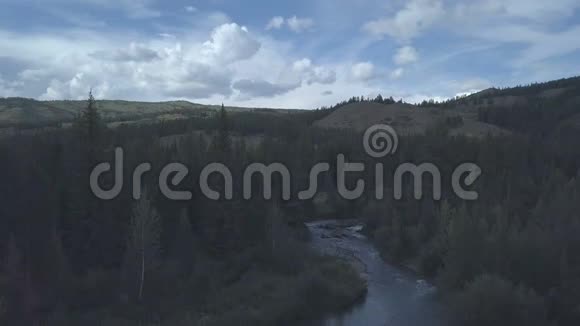 山河快流的水俄罗斯阿尔泰视频的预览图