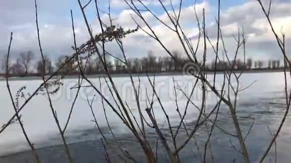 无叶的树枝在冰冻的河流的背景下有着强大的水流视频的预览图