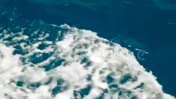 海泡海水视频的预览图