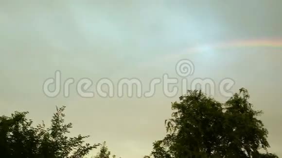 彩虹在天空中在树的上方在灰色云的背景下在雨后视频的预览图