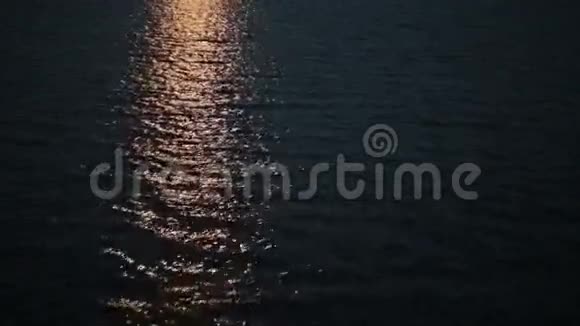 夜晚水中的光线反射视频的预览图