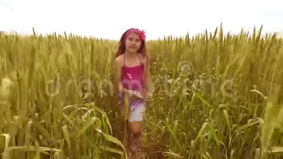 快乐奔跑的女孩在户外在阳光下的麦田女孩穿过黄色的麦田视频的预览图