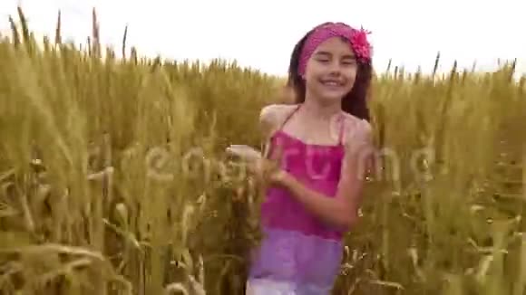 快乐奔跑的孩子户外女孩在麦田的阳光下女孩穿过黄色的麦田视频的预览图