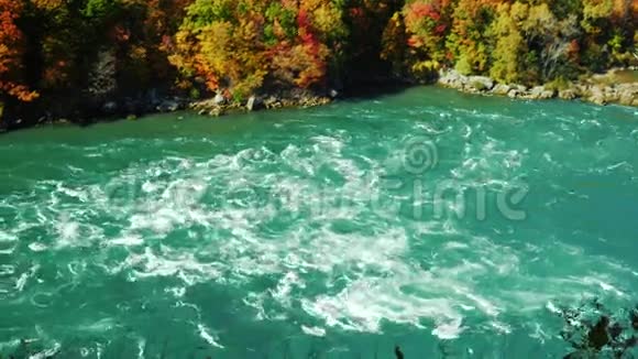 尼亚加拉河沿着高岩石海岸流淌覆盖着秋天的森林秋天的风景照相机从河上翻过来视频的预览图