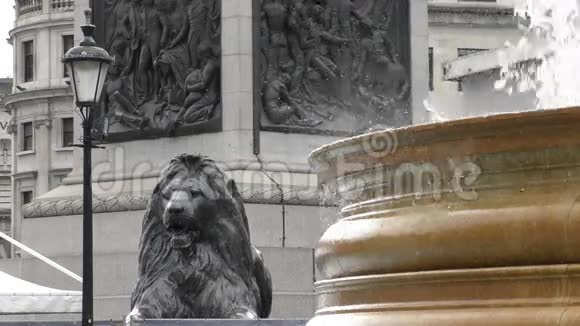 狮子在喷泉背景下的石雕视频的预览图