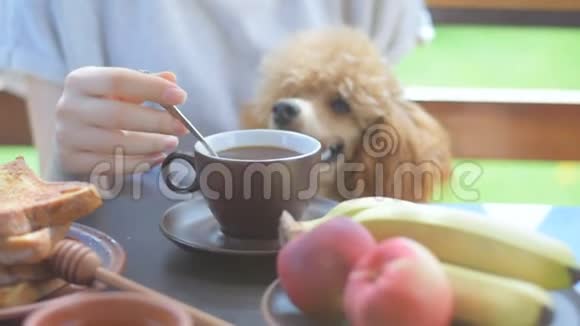 早餐女人在露台上喝早咖啡视频的预览图