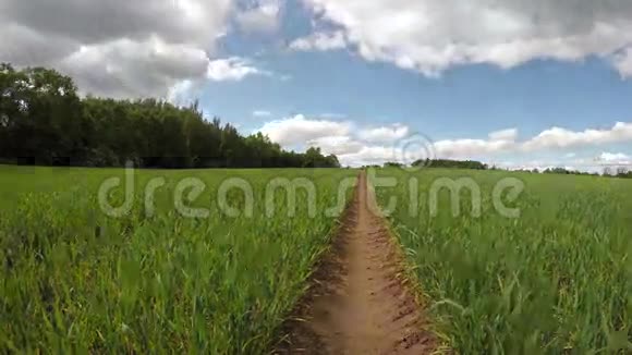 农田有绿色的麦芽和春云运动时间流逝4K视频的预览图