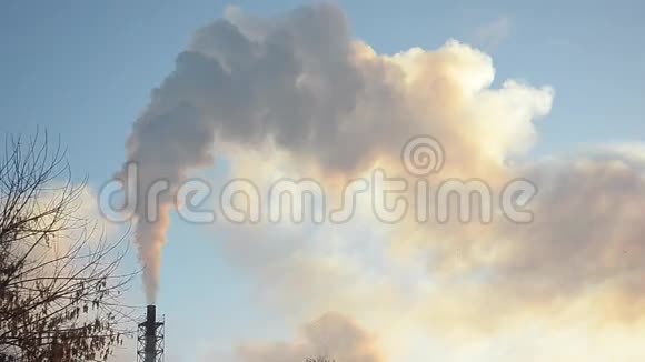 从工厂烟囱冒出来的白烟升上蓝天鸟儿在天空中飞翔天空中有烟雾有力量视频的预览图