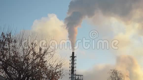 从工厂烟囱冒出来的白烟升上蓝天鸟儿在天空中飞翔天空中有烟雾有力量视频的预览图