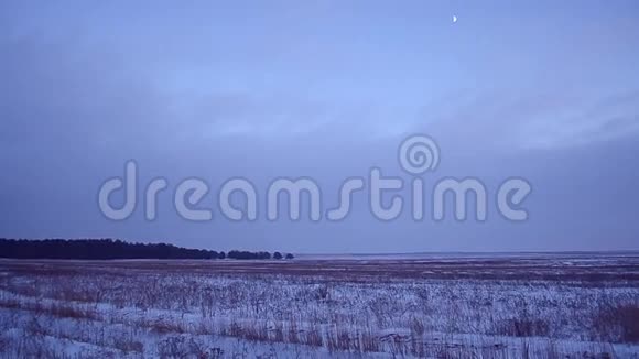 白雪皑皑的冬田在蓝天的背景下月亮高高地在天空中冬林夜草摇曳着风视频的预览图