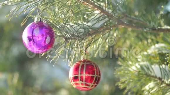 红色圣诞球挂在霜冻的杉树上视频的预览图