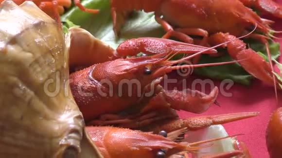 河煮小龙虾视频的预览图
