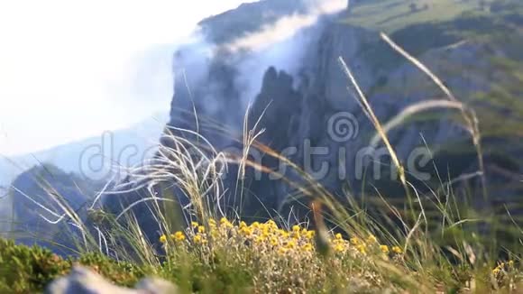 克里米亚AIPetri山顶的景色视频的预览图