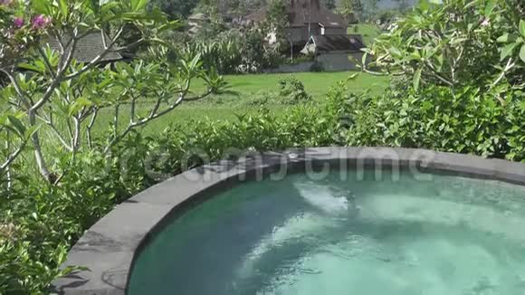从水潭上看山上的水稻梯田和农民的房子印度尼西亚巴厘视频的预览图