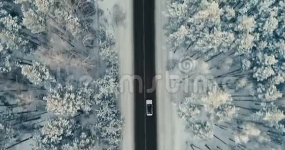 在白雪皑皑的森林里开一条冬天的空中观景4K视频的预览图