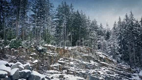落基森林坡在大雪中视频的预览图