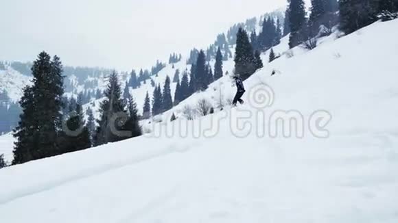 极端滑雪者的女人骑着粉末在山背国滑雪冬季活动视频的预览图