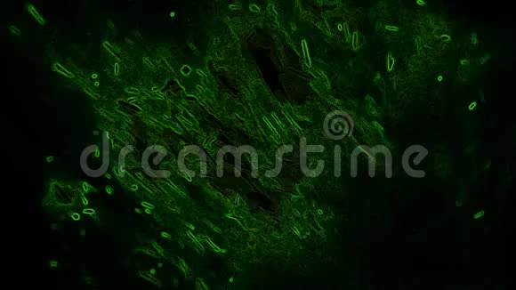 黑色背景上的绿色抽象视频的预览图