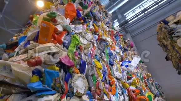 塑料回收厂多色PET瓶片视频的预览图