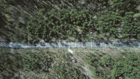 空中拍摄的汽车路在森林里阳光明媚的春天俯视4K视频视频的预览图