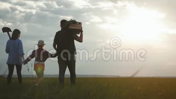 家庭农民在日落时分沿着田野散步带着新鲜蔬菜和农具的盒子有机有机视频的预览图
