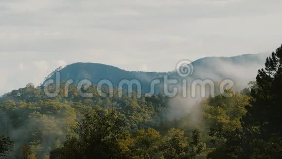 雨后热带丛林和山脉的蒸发越南达拉特市视频的预览图