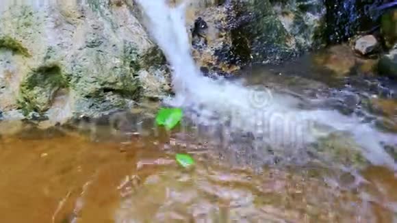 由瀑布在清水中旋转的特写绿叶视频的预览图