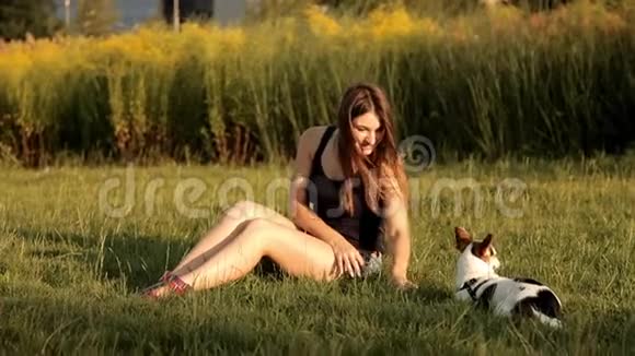 精彩的女孩正坐在公园的草坪上熨她的狗视频的预览图