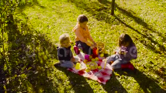 在花园里野餐坐在草地上喝酒的孩子们视频的预览图