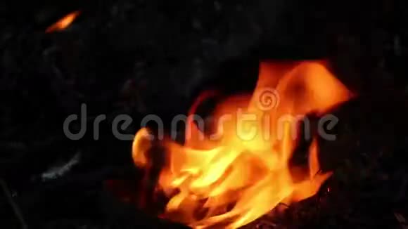 火焰3视频的预览图