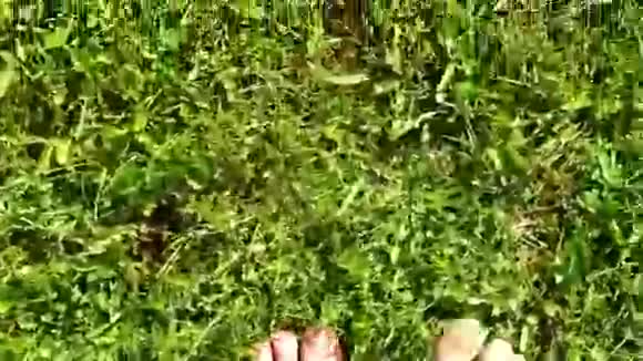 光脚踏着露水踏在草地上视频的预览图
