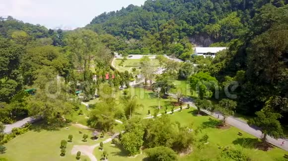 槟城植物园空中观景视频的预览图