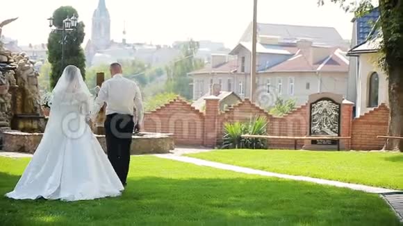 一对夫妇牵着手走在阳光明媚的公园里温柔地接吻视频的预览图