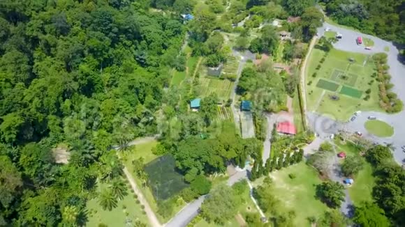 槟城植物园空中观景视频的预览图