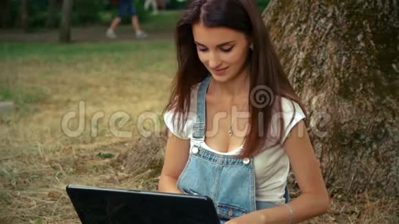 布鲁内特坐在树旁看着笔记本电脑视频的预览图