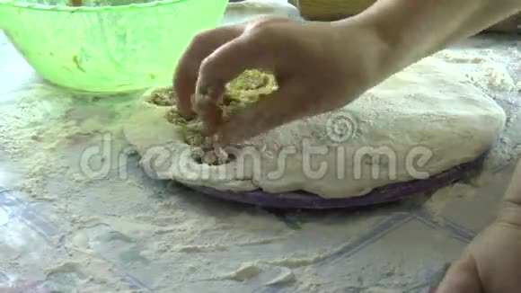 在家包饺子在家包饺子用馄饨的特殊形式视频的预览图